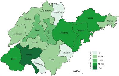 Isolation, characterization, and pathogenicity of Fusarium species causing crown rot of wheat